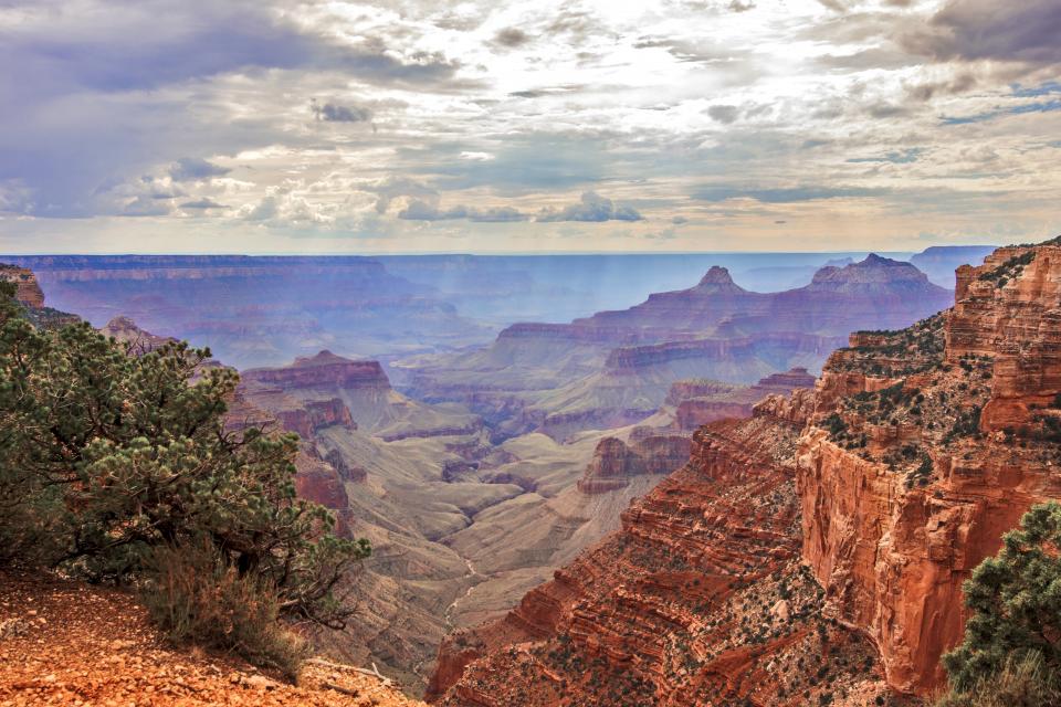 Cape Royal at the North Rim | Shutterbug